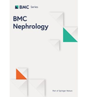 Оценка химического состава камней в почках с помощью двухэнергетической КТ у пациентов с подагрой Южного Китая